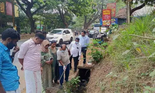 രൂക്ഷമായ കൊതുകുശല്യം; ഓടകളിൽ സ്‌പ്രേയിങ് നടത്തി