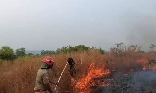 തണ്ണീർമലയിൽ തീപിടിത്തം