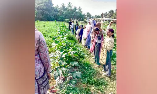 പ്രകൃതിയുടെ പച്ചപ്പ് തേടി