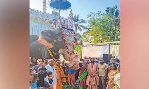 റൊബോട്ടിക് ആനയെ സമർപ്പിച്ചു റൊബോട്ടിക് ആനയെ സമർപ്പിച്ചു