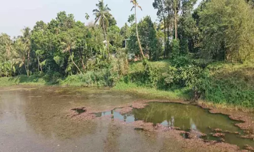 കുണ്ടൂർ തോട് കെട്ടി സംരക്ഷിക്കാൻ 20 ലക്ഷം