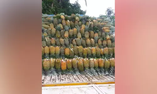 റമദാൻ വിപണി;  പൈനാപ്പിൾ വില കുതിക്കുന്നു