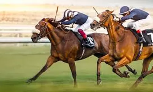 ആ​വേ​ശ​മു​യ​ർ​ത്താ​ൻ കു​തി​ര​പ്പ​ന്ത​യം; ‘റ​മ​ദാ​ൻ നൈ​റ്റ്‌​സ്’ മ​ത്സ​ര​ങ്ങ​ൾ​ക്ക് തു​ട​ക്കം