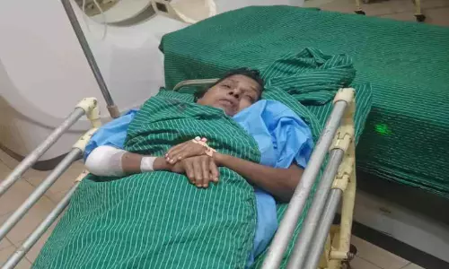 കാട്ടുപന്നി ആക്രമണം: മൂന്ന് തൊഴിലുറപ്പ് സ്ത്രീ തൊഴിലാളികൾക്ക് പരിക്ക്