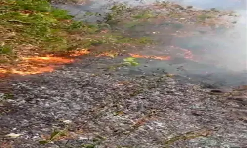 വാ​ള​റ വ​ന​മേ​ഖ​ല​യി​ൽ കാ​ട്ടുതീ ​പ​ട​രു​ന്നു