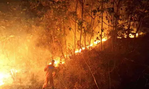 കോടശ്ശേരി പഞ്ചായത്തിലെ പീലാർമുഴിയിൽ തീ പടരുന്നു