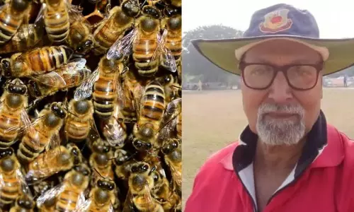 ക്രിക്കറ്റ് മത്സരത്തിനിടെ തേനീച്ച ആക്രമിച്ചു; ഉത്തർപ്രദേശിൽ അമ്പയർക്ക് ദാരുണാന്ത്യം