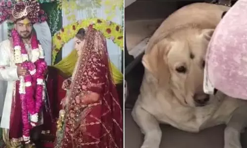 വധുവിന്‍റെ വളർത്തു നായയെ തല്ലി; വിവാഹം മുടങ്ങി
