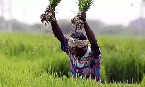 വിള ഇൻഷുറൻസ് നഷ്ടപരിഹാരം കാത്ത് 18000 കർഷകർ