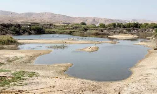 32 മി​ല്യ​ൺ റി​യാ​ലി​ലേ​റെ മൂ​ല്യ​മു​ള്ള വി​ക​സ​ന പ​ദ്ധ​തി​ക​ൾ​ക്ക് അം​ഗീ​കാ​രം