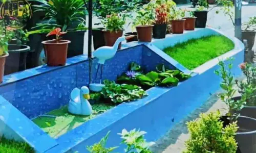 കുന്നുകരയിൽ ഓട്ടോ ഡ്രൈവർമാരുടെ കൈയൊപ്പ്; മിനി ഉദ്യാനം വിസ്മയക്കാഴ്ചയാകുന്നു