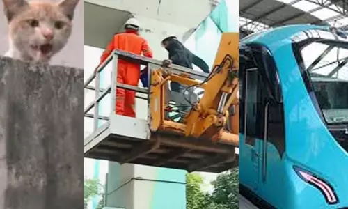 കൊച്ചി മെട്രോ പില്ലറിൽ ഒരാഴ്ചയായി കുടുങ്ങിയ പൂച്ചക്ക് വേണ്ടിയുള്ള രക്ഷാ പ്രവർത്തനം രാത്രി തുടരും; മെട്രോ സർവീസ് നിർത്തി വെച്ചിരുന്നു