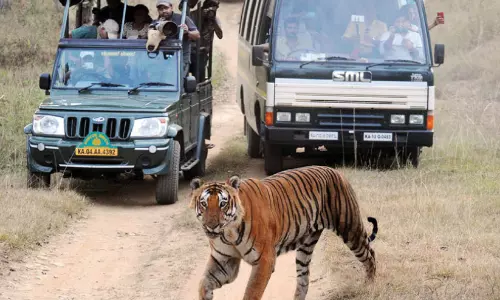 കര്‍ണാടകയില്‍ നിയന്ത്രണങ്ങളോടെ സഫാരി പുനരാരംഭിച്ചു
