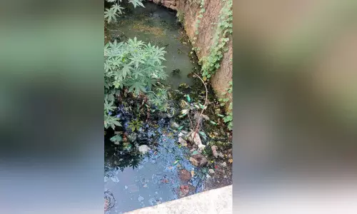 മാ​ലി​ന്യ വാ​ഹി​നി​യാ​യി ചു​ങ്ക​പ്പാ​റ ഊ​രുകു​ഴി​തോ​ട്