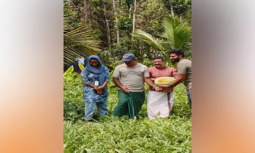 തണ്ണിമത്തൻ ജനകീയ വിളവെടുപ്പ് നടത്തി