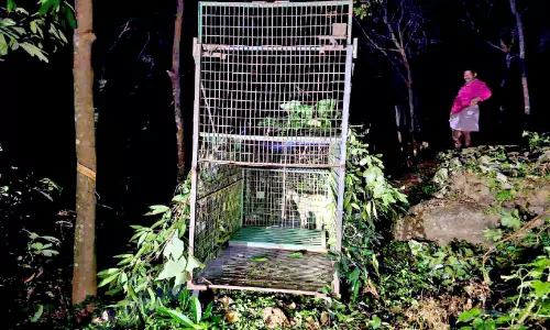 പുലി: വാക്കോട് നിരവിൽ വനം വകുപ്പ്   കൂടും കാമറയും സ്ഥാപിച്ചു