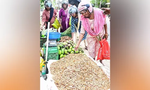 ചെട്ടികുളങ്ങര കുംഭ ഭരണി: കൊഞ്ചും മാങ്ങയും പ്രധാന വിഭവം ചെട്ടികുളങ്ങര കുംഭ ഭരണി: കൊഞ്ചും മാങ്ങയും പ്രധാന വിഭവം