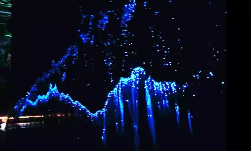 മനം കവർന്ന് വീണ്ടും കവര്