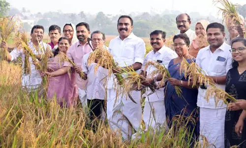 ആവേശമായി കൊയ്തുത്സവം