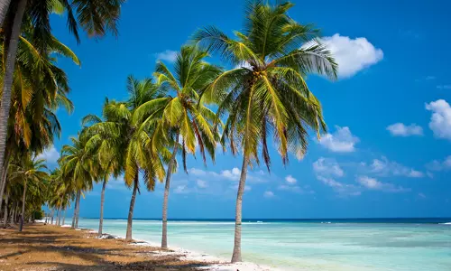 ലക്ഷദ്വീപിലെ വാഹനനിയന്ത്രണം റമദാൻ കഴിയുന്നത് വരെ നടപ്പാക്കില്ല