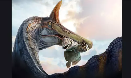 സഹാറയിൽ നിന്നും അപൂർവ ഫോസിലുകൾ കണ്ടെത്തി; ഡ്രാഗണുകളെക്കാൾ വലുപ്പമുള്ള ദിനോസറുകളെന്ന് നിഗമനം