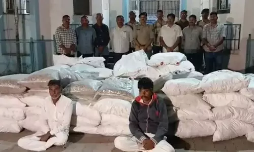 ഗുജറാത്തിലെ കൃഷിയിടത്തിൽ നിന്നും 11 കോടിയുടെ കഞ്ചാവും കറുപ്പ് ചെടികളും പിടികൂടി