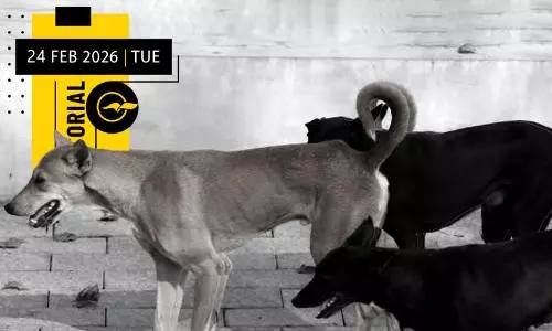 തെരുവുനായ് ഭീഷണിക്ക് എന്നാണ് പരിഹാരം കാണുക? തെരുവുനായ് ഭീഷണിക്ക് എന്നാണ് പരിഹാരം കാണുക?