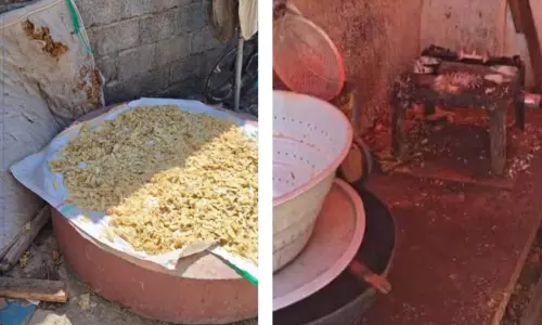 മുസന്നയിൽ അനധികൃത ബേക്കറിയിൽ റെയ്ഡ്; ഒരു ടൺ ഭക്ഷ്യവസ്തുക്കൾ നശിപ്പിച്ചു മുസന്നയിൽ അനധികൃത ബേക്കറിയിൽ റെയ്ഡ്; ഒരു ടൺ ഭക്ഷ്യവസ്തുക്കൾ നശിപ്പിച്ചു