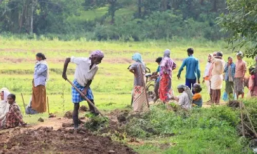 തൊഴിലുറപ്പ് കൂലി വൈകലിനുള്ള നഷ്ടപരിഹാരം: 4.87 കോടി രൂപ വെട്ടിയെന്ന് സി.എ.ജി