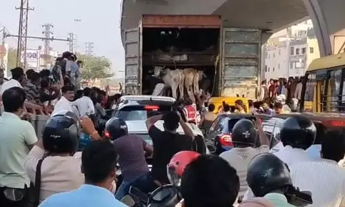 പശുക്കളുമായി പോയ ട്രക്ക് കാറിൽ ഇടിച്ചു; ജയ് ശ്രീ റാം വിളിച്ച് ഡ്രൈവറെ ആക്രമിച്ച് ആൾക്കൂട്ടം