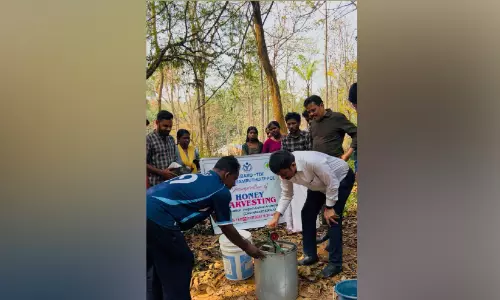 ആദിവാസികൾ തേന്‍കൃഷി വിളവെടുപ്പ് തുടങ്ങി