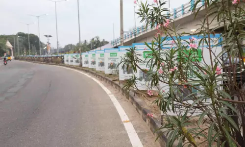 കൗൺസിൽ തീരുമാനത്തിന് ഒരുമാസം; അനങ്ങിയില്ല ബോർഡുകൾ