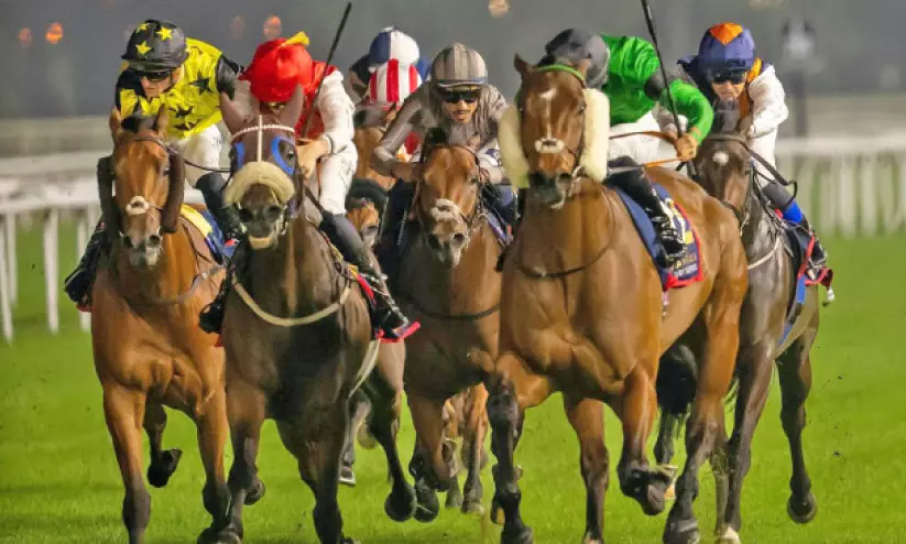 റമദാൻ നൈറ്റ്സ്; കുതിരപ്പന്തയ പോരാട്ടം ഇന്ന് റമദാൻ നൈറ്റ്സ്; കുതിരപ്പന്തയ പോരാട്ടം ഇന്ന്