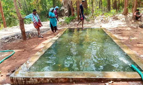 വനത്തിനും മൃഗങ്ങൾക്കും കാവലായി വന സംരക്ഷണ പ്രവർത്തകർ വനത്തിനും മൃഗങ്ങൾക്കും കാവലായി വന സംരക്ഷണ പ്രവർത്തകർ