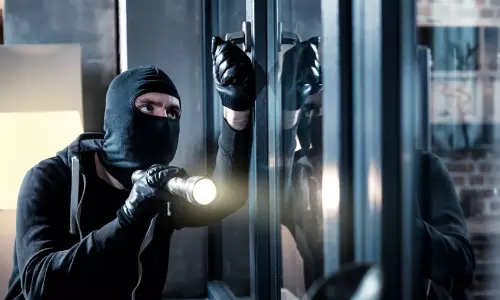 theft case theft case