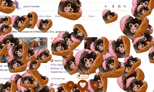 പഞ്ച് ദ മങ്കി ഗൂഗ്ൾ ഈസ്റ്റർ എഗ് വൈറൽ: ജാപ്പനീസ് കുഞ്ഞ് കുരങ്ങിനെ ആഘോഷിച്ച് ആനിമേഷൻ