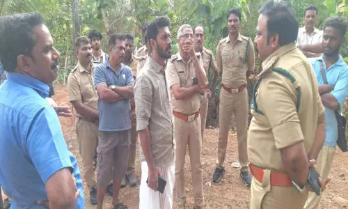 മ​യ​ക്കു​വെ​ടി​ക്ക് അ​നു​മ​തി;    വ​ന​പാ​ല​ക​രെ വ​ട്ടം ചു​റ്റി​ച്ച് കാ​ട്ടു​പോ​ത്ത്