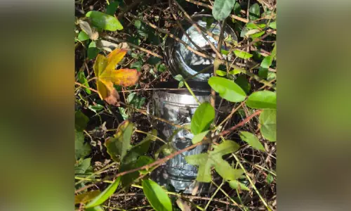 മോഷണം പോയ ഭണ്ഡാരങ്ങൾ റെയിൽവേ ട്രാക്കിന് സമീപം ഉപേക്ഷിച്ച നിലയിൽ