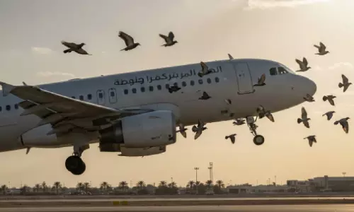 വി​മാ​ന​ത്താ​വ​ള​ത്തി​ന് സ​മീ​പം പ്രാ​വു​ക​ളെ വ​ള​ർ​ത്ത​രു​ത്; ക​ർ​ശ​ന മു​ന്ന​റി​യി​പ്പു​മാ​യി അ​ധി​കൃ​ത​ർ