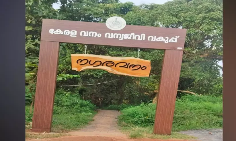 ഇടവെട്ടിയിൽ നഗരവനം തുറന്നു ഇടവെട്ടിയിൽ നഗരവനം തുറന്നു