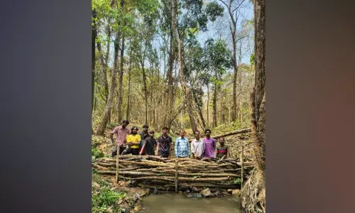 വന്യ ജീവികൾക്കായി ചെക് ഡാം നിർമിച്ചു