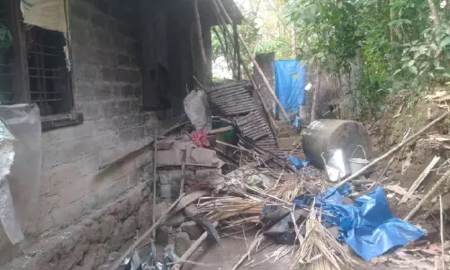 ജനവാസ മേഖലകളിലേക്ക്   കാട്ടാനക്കുട്ടമെത്തുന്നു