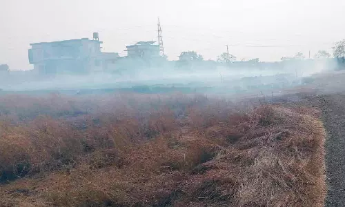 അങ്കക്കളരി പാറപ്പുറത്ത് വൻ തീപിടിത്തം