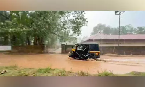 ക​ന​ത്ത വേ​ന​ൽ മ​ഴ; വ​ഴി​യും വ​ര​മ്പും അ​ട​ഞ്ഞു