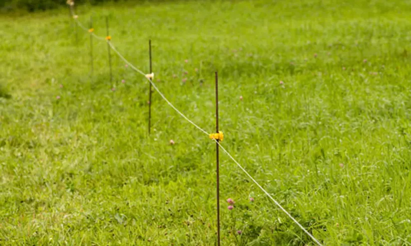 അച്ഛനും മകനും മരിച്ചനിലയിൽ; വൈദ്യുതിവേലിയിൽ നിന്ന് ഷോക്കേറ്റെന്ന് സംശയം