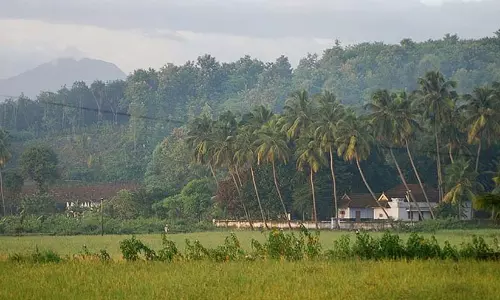 ചുവന്ന നെന്മാറയെ തിരിച്ചുപിടിക്കാൻ യു.ഡി.എഫ്