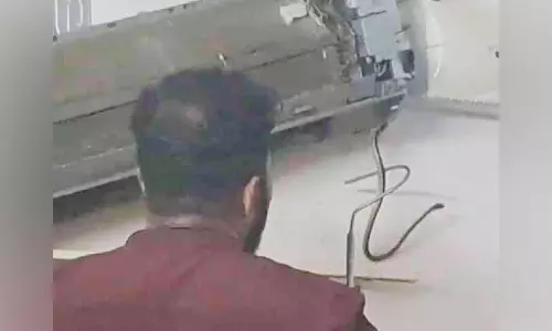 എ.സിയിൽ ‘സുഖവാസം’; അഞ്ച് പാമ്പുകളെ പിടികൂടി