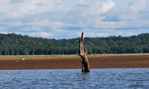 കബനി കായലിലെ അനധികൃത റിസോർട്ടുകൾക്ക് അനുമതി തേടണം -ഡി.സി