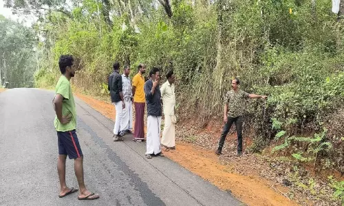 പെരുവാമ്പയിൽ പുലി..?