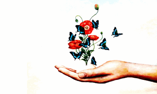 അതിർത്തിയിലെ പക്ഷികൾ